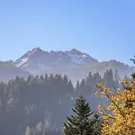 Chalet Lindau Fieberbrunn Apartments By One Villas Διαμέρισμα